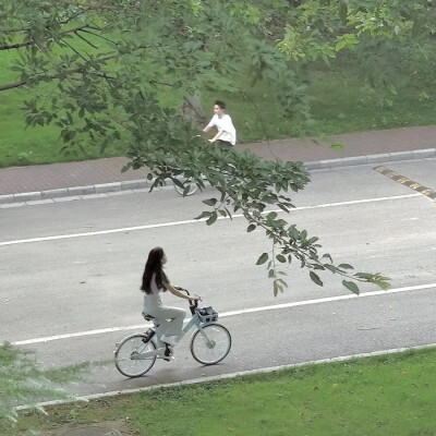 篠芙－背景图