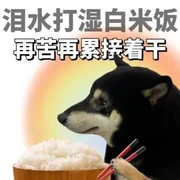 表情包