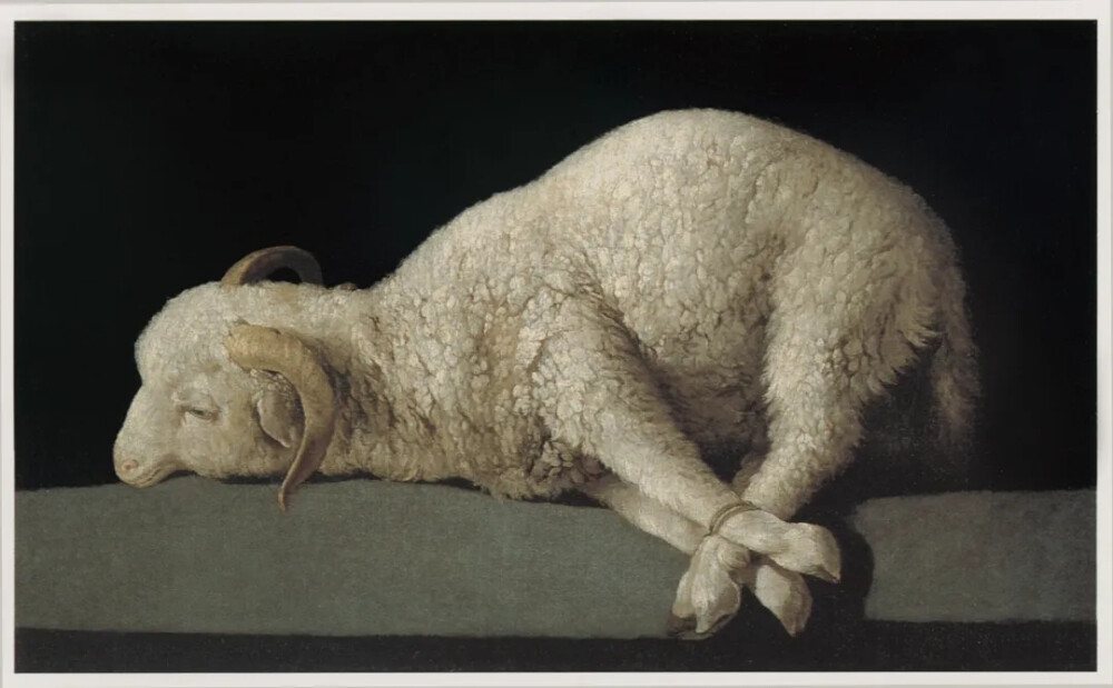 法兰西斯科·德·祖巴兰
（Francisco de Zurbarán）
《天主的羔羊》（Agnus Dei）
 1635-40年，马德里普拉多博物馆
