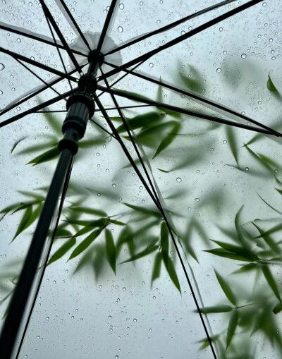 绿色系背景图 雨天背景图