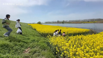 乡村教师日记