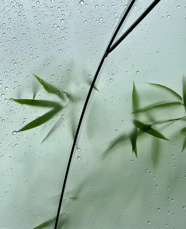 绿色系背景图 雨天背景图