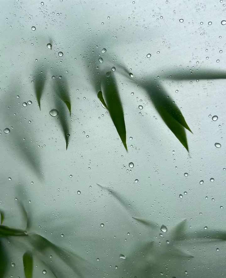 绿色系背景图 雨天背景图