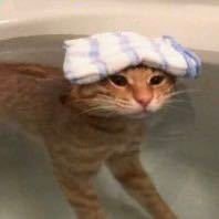 能和你撑一把伞的话，下雨也是好天气