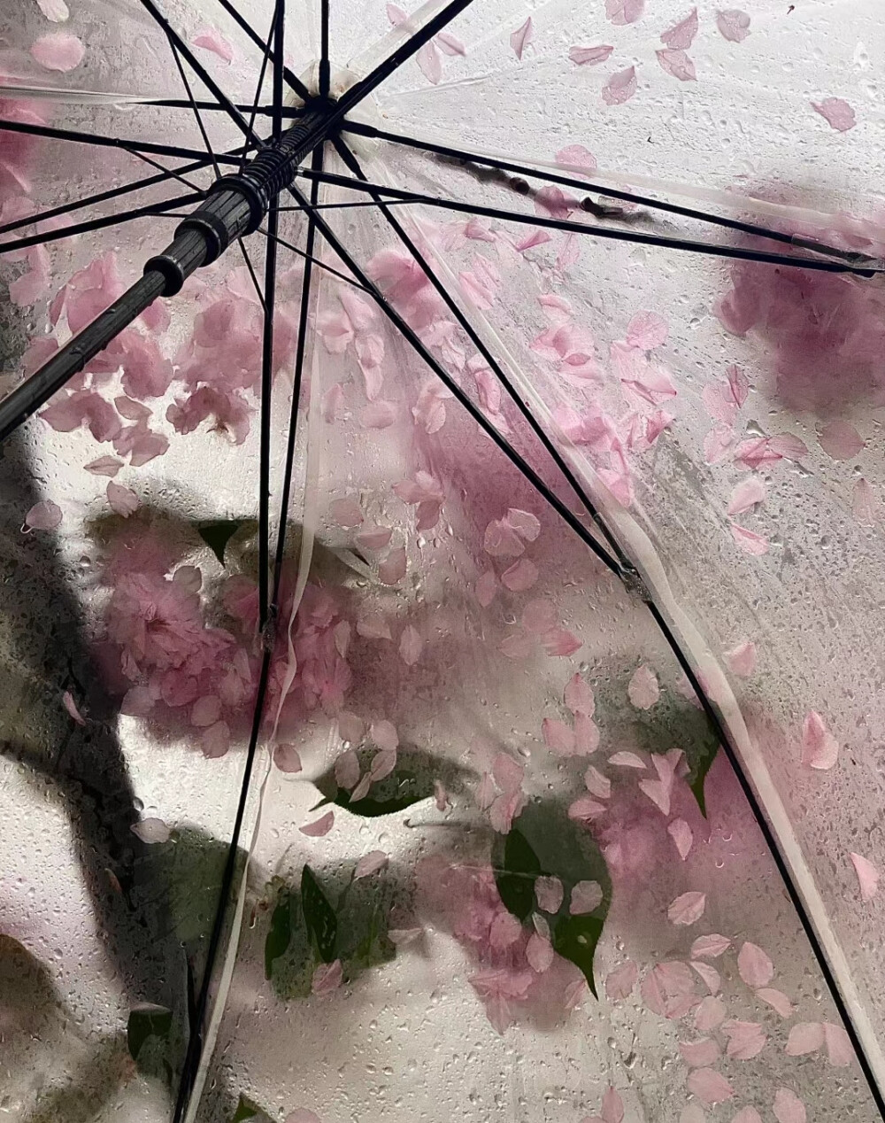 雨天背景图