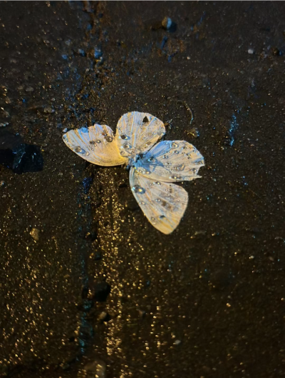 雨天背景图