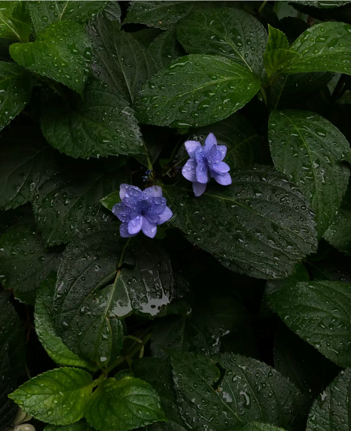 雨天背景图