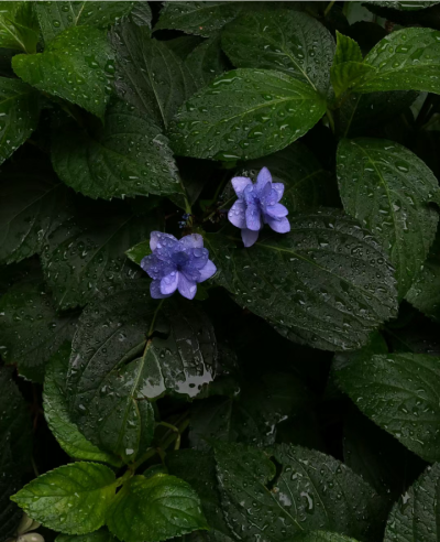 雨天背景图