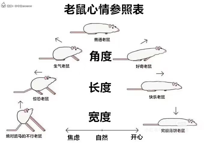 表情包