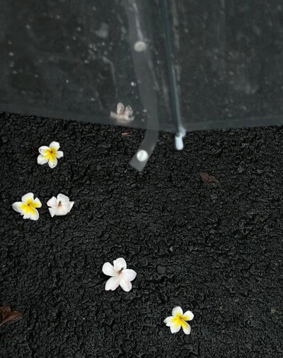 雨天背景图 黑色系背景图 暗调背景图