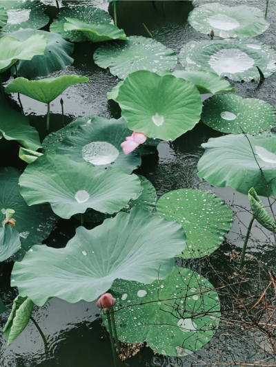 雨天背景图