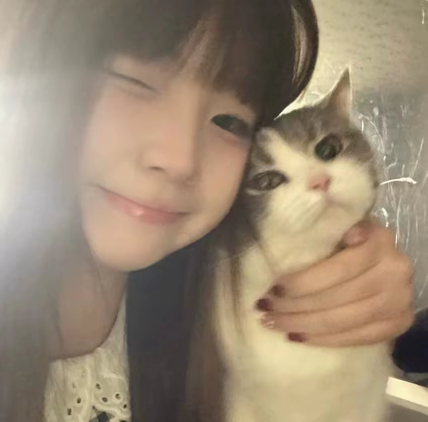 抱猫 女头 甜妹