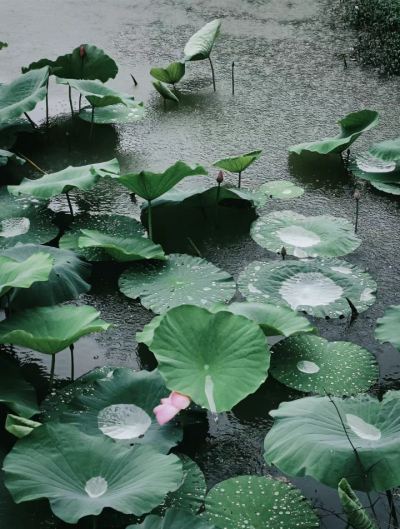 雨天背景图