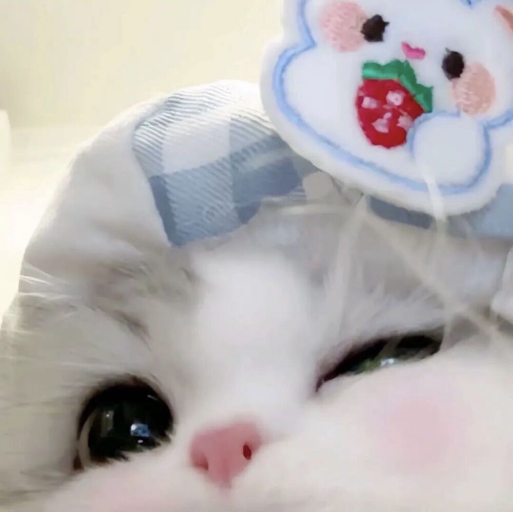 喜