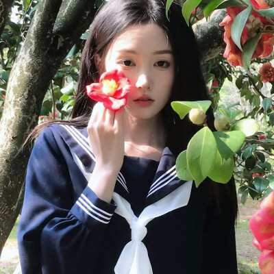 ⸝⸝ ꙳ 乘夏见山海 最好是现在
