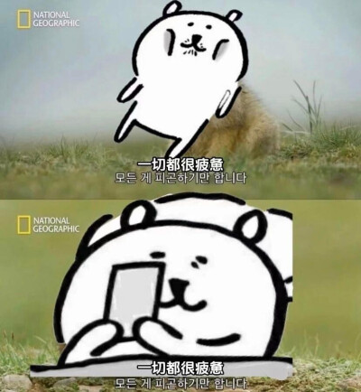 自嘲熊表情包
cr：relax小熊