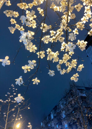背景图