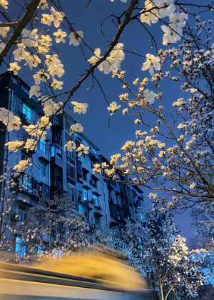 背景图
