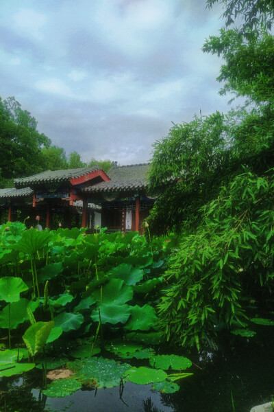 连雨不知春去，一晴方觉夏深