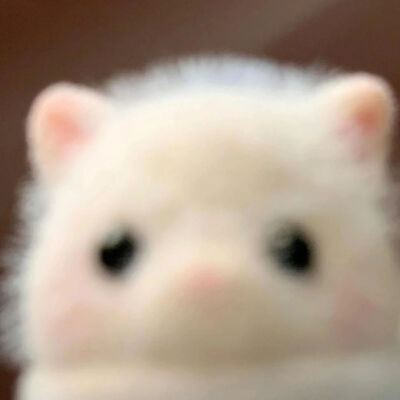 库存。侵删致歉