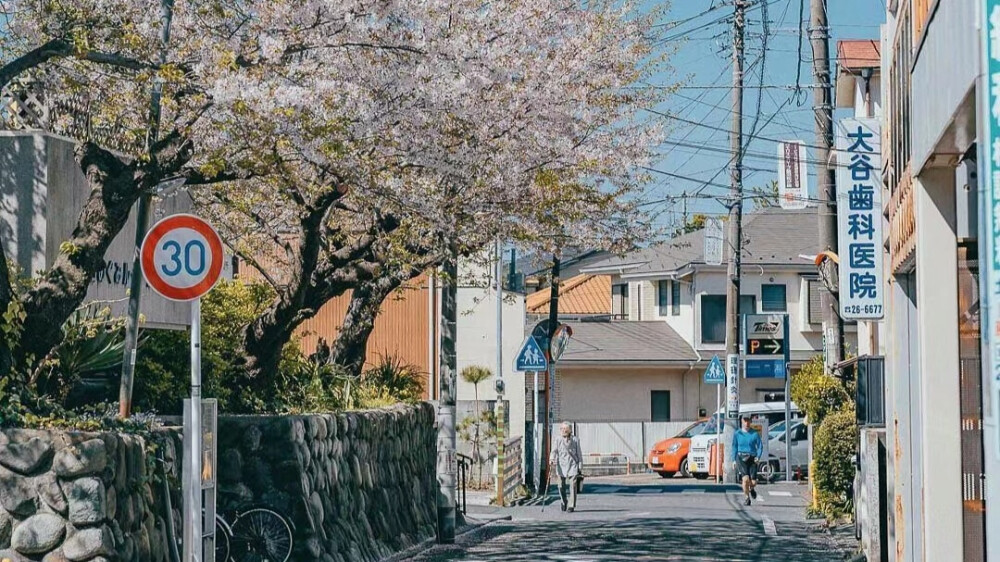 橙光素材街道