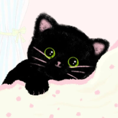 动画