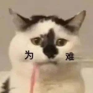 猫猫表情包