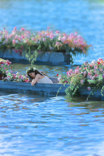 花海鹿鹿