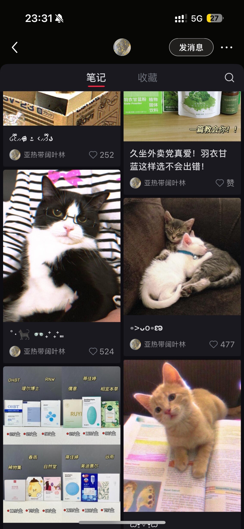 猫