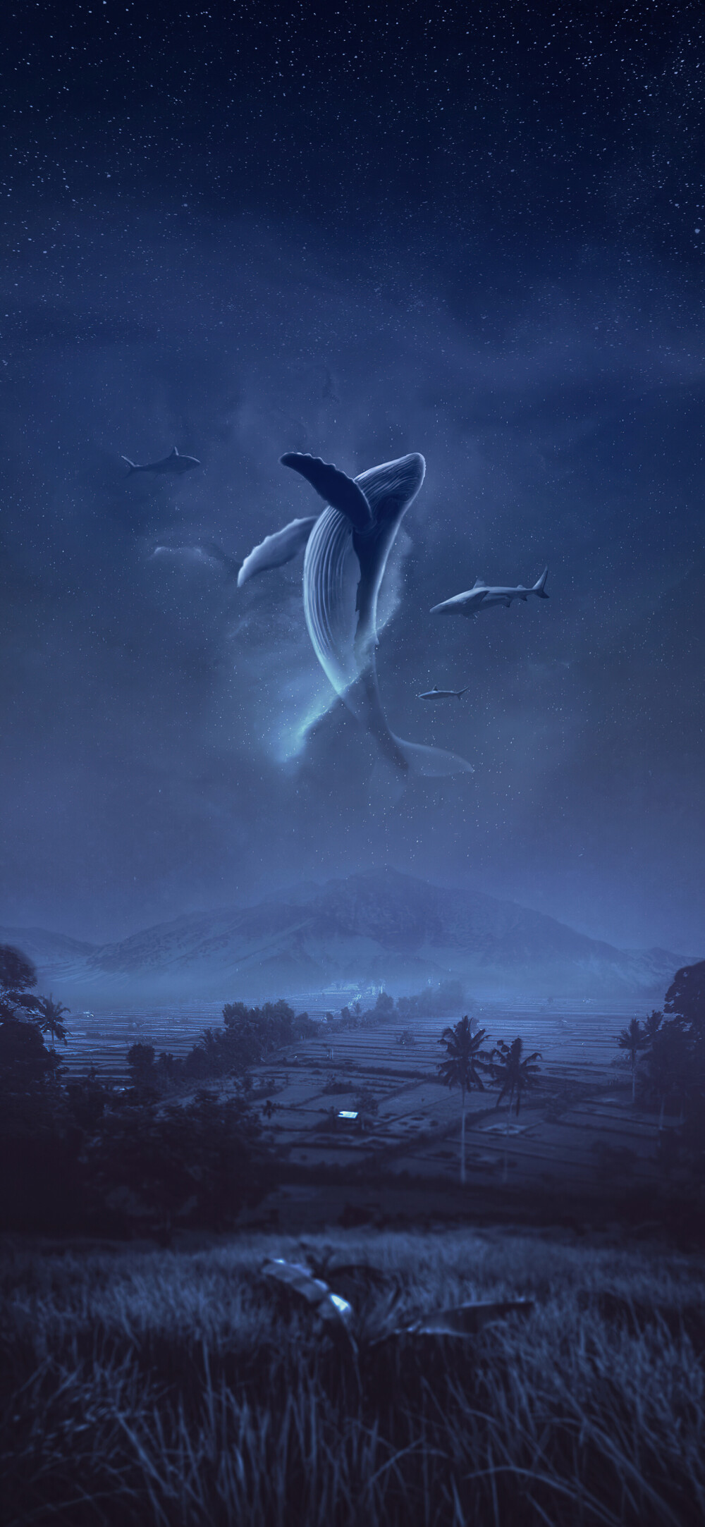 高清图片,堆糖,美图壁纸兴趣社区