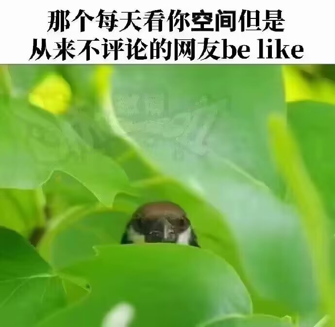 乱七八糟好好笑