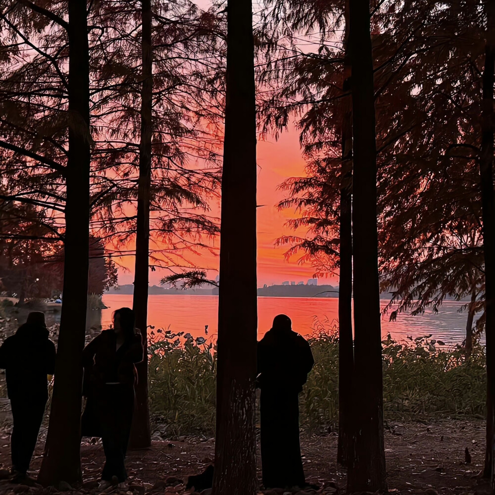 背景｜文案
春听鸟声，夏听蝉声，秋听虫声，冬听雪声，白昼听棋声，月下听箫声，山中听松声，水际听欸乃声，方不虚此生耳。