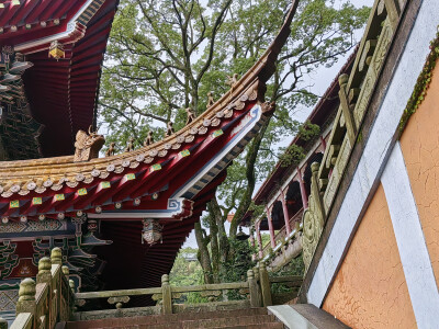 小海岛上的磨心山寺景。