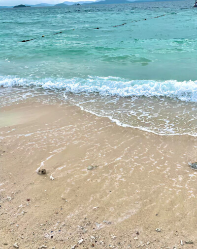 薄荷绿背景图 海的背景图