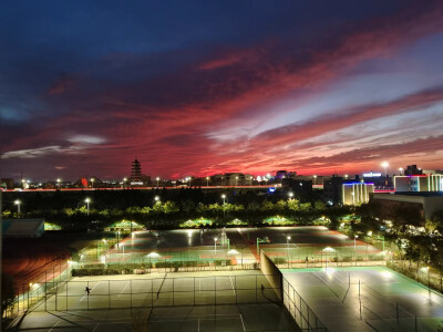 宁波
财经
学院