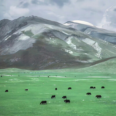 背景｜文案
春听鸟声，夏听蝉声，秋听虫声，冬听雪声，白昼听棋声，月下听箫声，山中听松声，水际听欸乃声，方不虚此生耳。