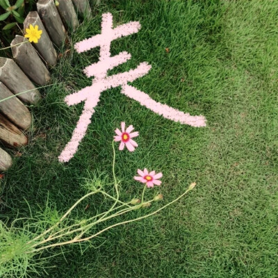 无限循环的夏季