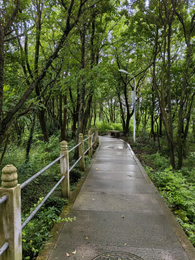 小海岛上的磨心山寺景。