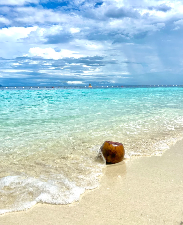 薄荷绿背景图 海的背景图