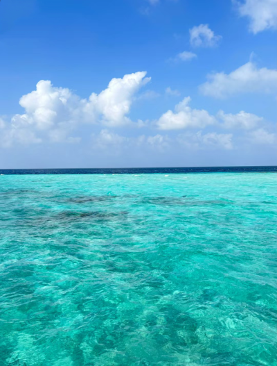 薄荷绿背景图 海的背景图