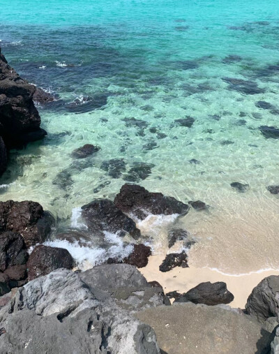 薄荷绿背景图 海的背景图