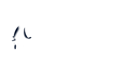 重回礼 喵金 双视