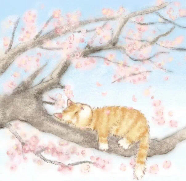 朋友圈 背景