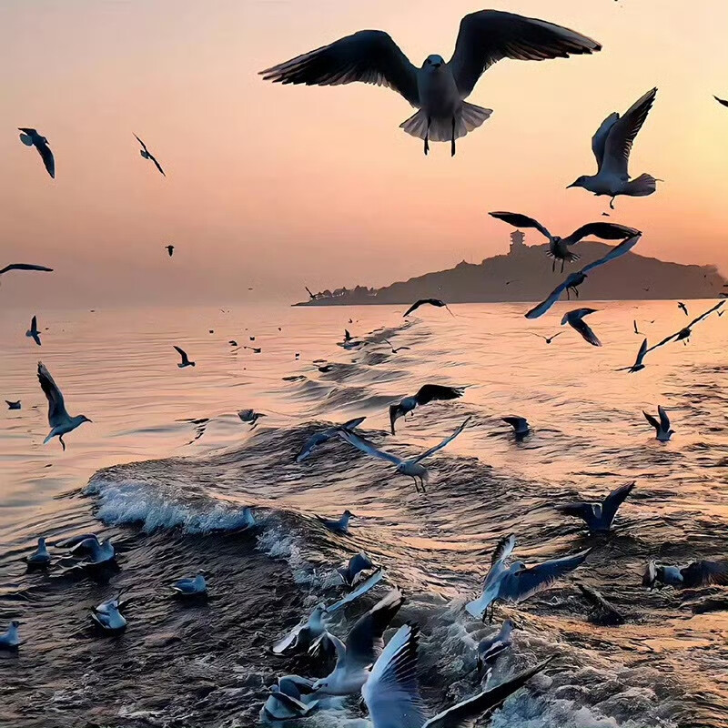 终临野☆背景图