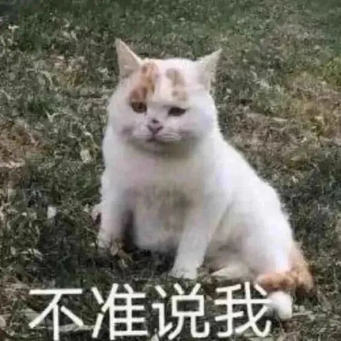 猫猫表情包