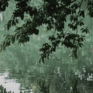 天青色等烟雨