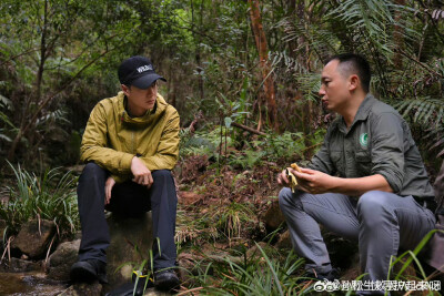 孙松-快寻护起来呀(科学科普博主)：
在纪录片《寻护者》拍摄过程中，有一个印象深刻的片段。上山途中，我们在小溪旁午餐，成哥（李成）正在和大使（王一博）介绍乌禽嶂的野生穿山甲保护状况。博子哥（我们私下会这么…