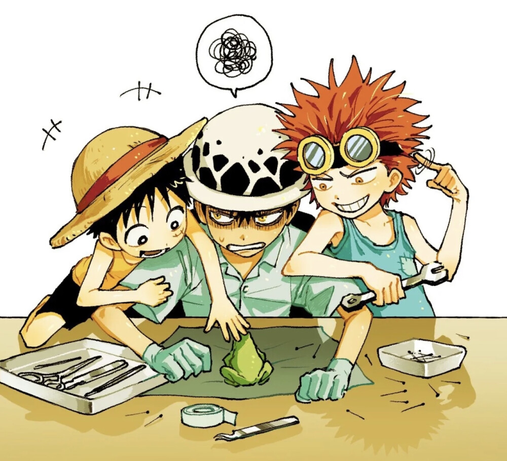 海贼王路飞特拉法尔加罗