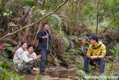 孙松-快寻护起来呀(科学科普博主)：
在纪录片《寻护者》拍摄过程中，有一个印象深刻的片段。上山途中，我们在小溪旁午餐，成哥（李成）正在和大使（王一博）介绍乌禽嶂的野生穿山甲保护状况。博子哥（我们私下会这么…