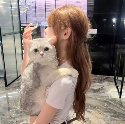 情头
猫猫与美女